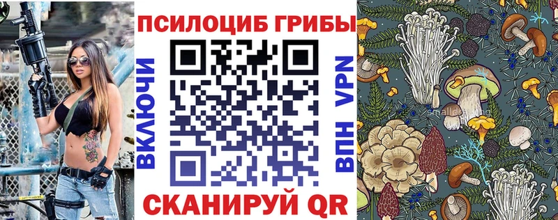 Псилоцибиновые грибы мицелий Лениногорск